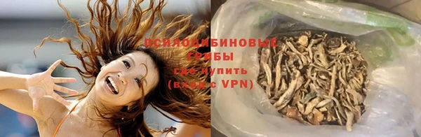 ALPHA PVP Коряжма