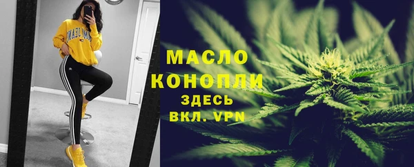 шишки Корсаков