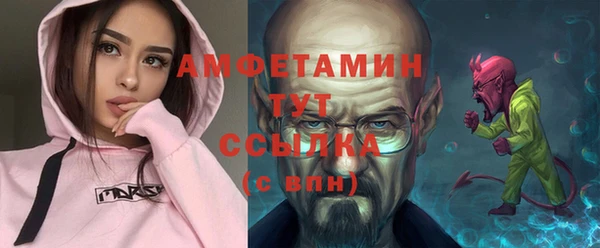 шишки Корсаков