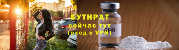 шишки Корсаков