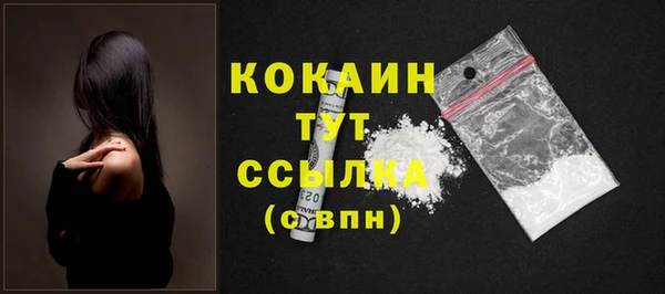 гашик Костерёво