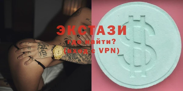 гашик Костерёво