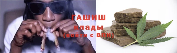 шишки Корсаков