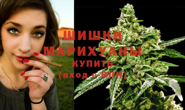 гашик Костерёво