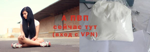 спиды Кодинск