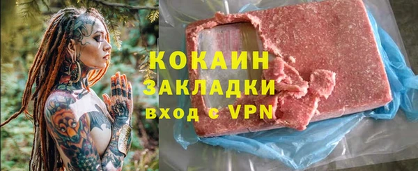 гашик Костерёво