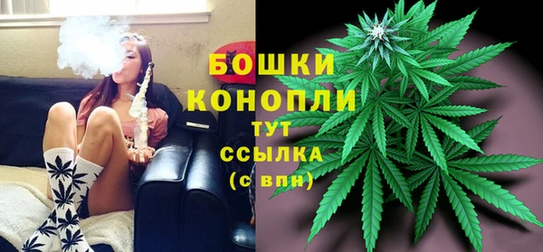 шишки Корсаков
