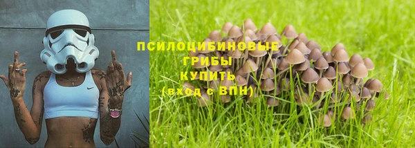 шишки Корсаков