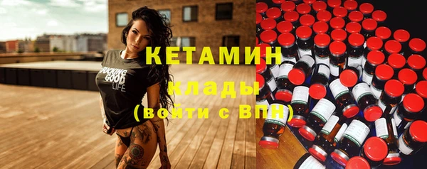 шишки Корсаков