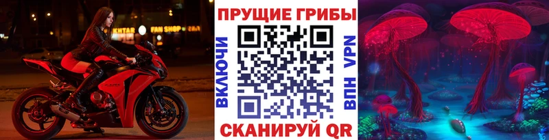 Галлюциногенные грибы ЛСД  закладка  Краснозаводск 